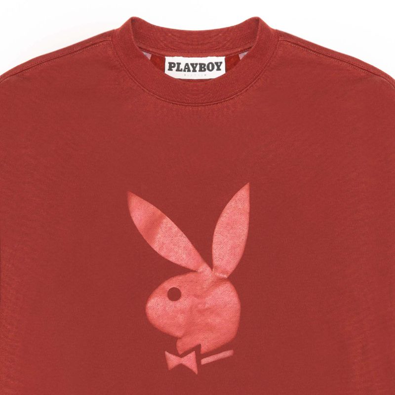 Hanorac Cu Gluga Barbati Playboy Nuance Crewneck Visinii | PIWE-30179